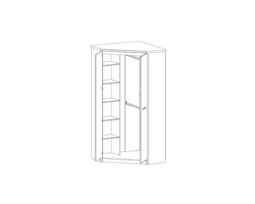 Бьорк шкаф угловой 2D для одежды
